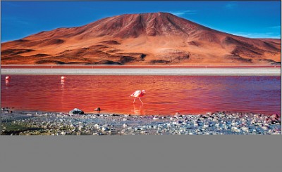 Телевизор Samsung 75 серия 7 Crystal UHD 4K Smart TV TU7100"